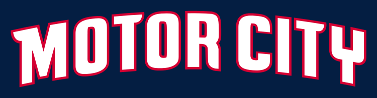 Detroit Pistons 2013-Pres Wordmark Logo fabric transfer